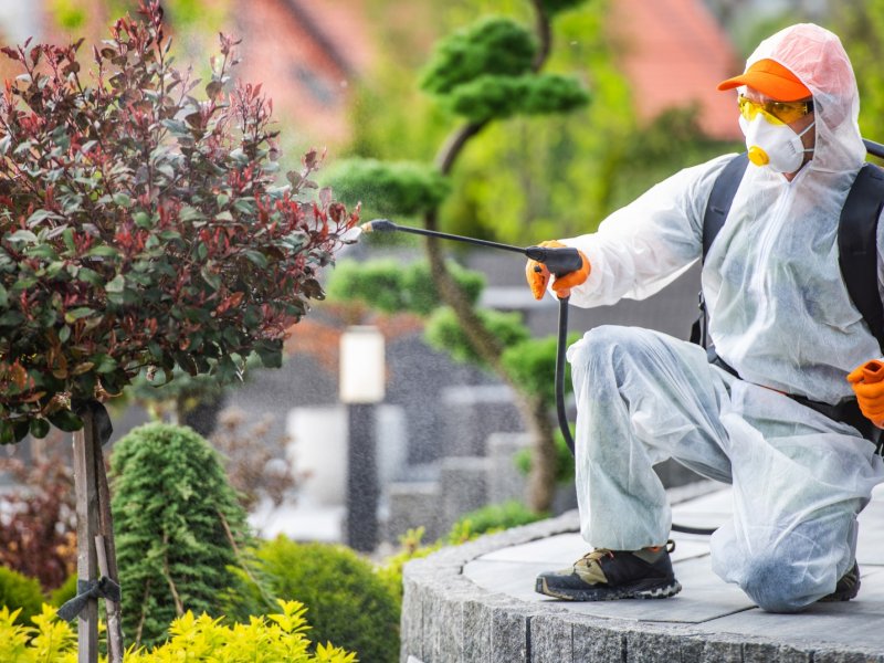 Balışeyh Haşere İlaçlama